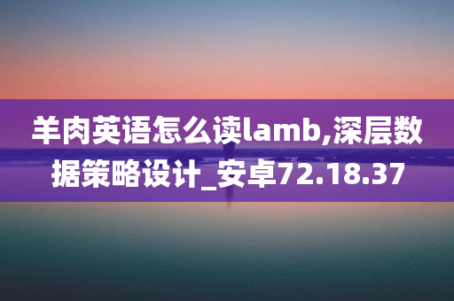 羊肉英语怎么读lamb,深层数据策略设计_安卓72.18.37