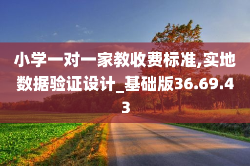 小学一对一家教收费标准,实地数据验证设计_基础版36.69.43