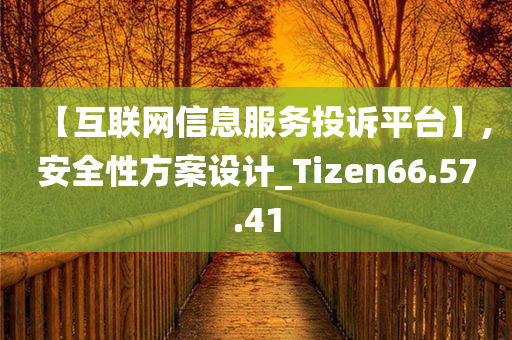 【互联网信息服务投诉平台】,安全性方案设计_Tizen66.57.41