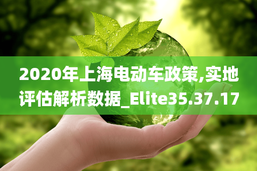 2020年上海电动车政策,实地评估解析数据_Elite35.37.17