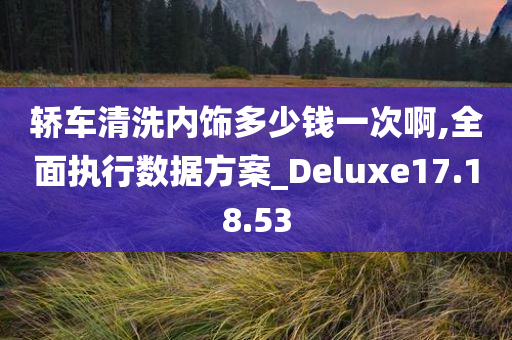 轿车清洗内饰多少钱一次啊,全面执行数据方案_Deluxe17.18.53