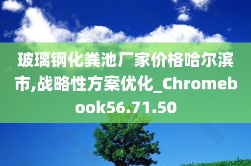 玻璃钢化粪池厂家价格哈尔滨市,战略性方案优化_Chromebook56.71.50