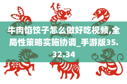 牛肉馅饺子怎么做好吃视频,全局性策略实施协调_手游版35.32.34