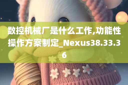 数控机械厂是什么工作,功能性操作方案制定_Nexus38.33.36