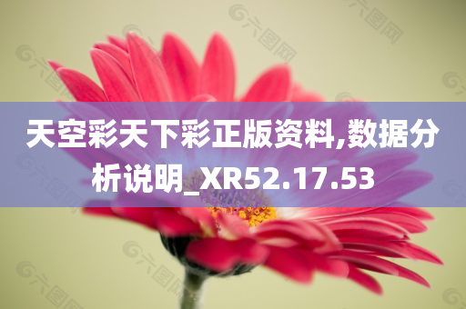 天空彩天下彩正版资料,数据分析说明_XR52.17.53