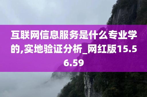 互联网信息服务是什么专业学的,实地验证分析_网红版15.56.59