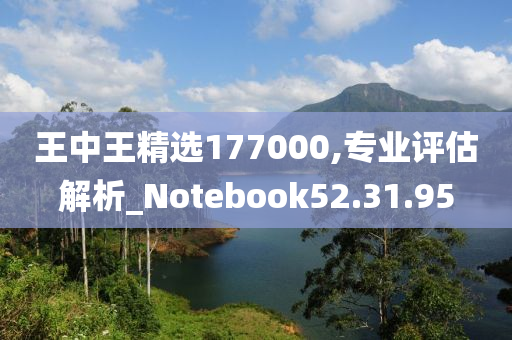 王中王精选177000,专业评估解析_Notebook52.31.95