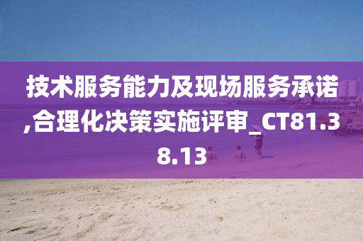 技术服务能力及现场服务承诺,合理化决策实施评审_CT81.38.13