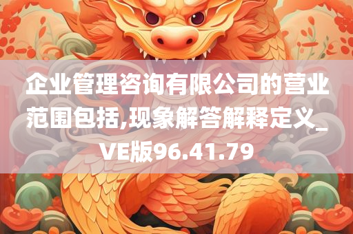 企业管理咨询有限公司的营业范围包括,现象解答解释定义_VE版96.41.79