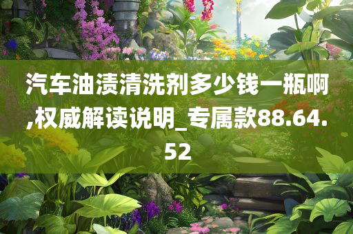 汽车油渍清洗剂多少钱一瓶啊,权威解读说明_专属款88.64.52