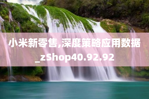 小米新零售,深度策略应用数据_zShop40.92.92