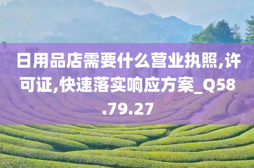 日用品店需要什么营业执照,许可证,快速落实响应方案_Q58.79.27