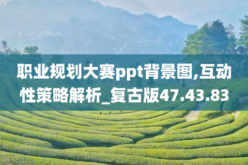 职业规划大赛ppt背景图,互动性策略解析_复古版47.43.83