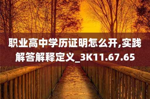 职业高中学历证明怎么开,实践解答解释定义_3K11.67.65