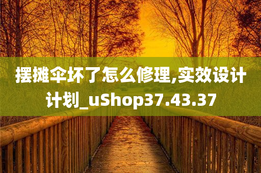 摆摊伞坏了怎么修理,实效设计计划_uShop37.43.37