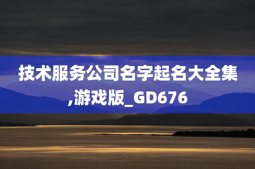 技术服务公司名字起名大全集,游戏版_GD676