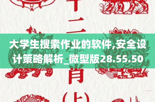 大学生搜索作业的软件,安全设计策略解析_微型版28.55.50