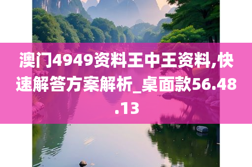 澳门4949资料王中王资料,快速解答方案解析_桌面款56.48.13