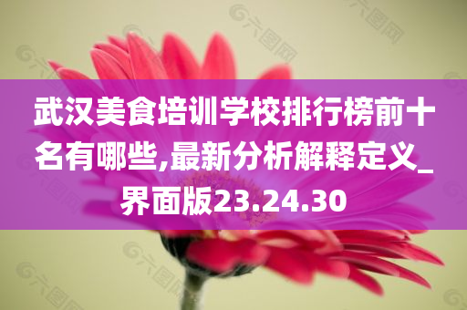 武汉美食培训学校排行榜前十名有哪些,最新分析解释定义_界面版23.24.30