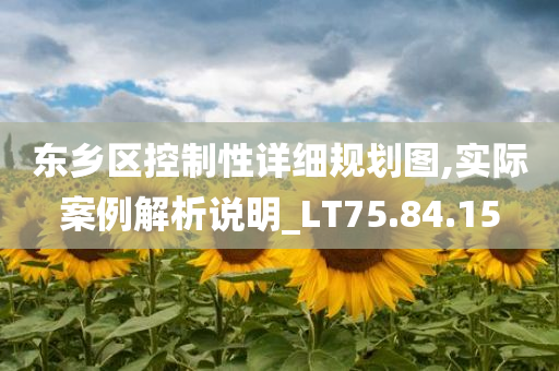 东乡区控制性详细规划图,实际案例解析说明_LT75.84.15