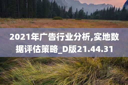 2021年广告行业分析,实地数据评估策略_D版21.44.31