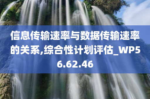 信息传输速率与数据传输速率的关系,综合性计划评估_WP56.62.46