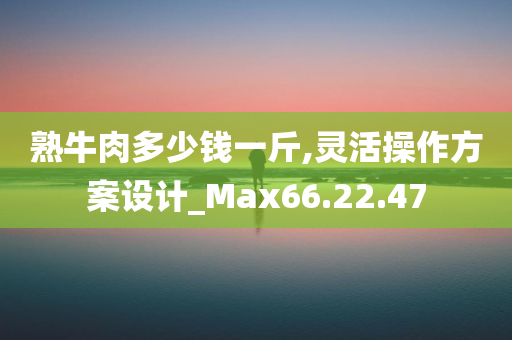 熟牛肉多少钱一斤,灵活操作方案设计_Max66.22.47