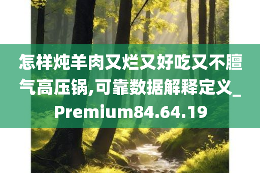 怎样炖羊肉又烂又好吃又不膻气高压锅,可靠数据解释定义_Premium84.64.19