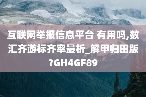 互联网举报信息平台 有用吗,数汇齐游标齐率最析_解甲归田版?GH4GF89