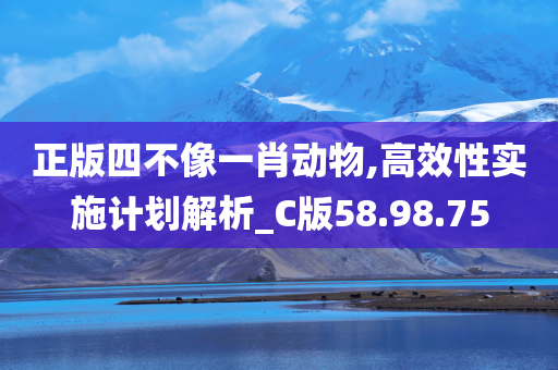 正版四不像一肖动物,高效性实施计划解析_C版58.98.75