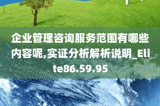 企业管理咨询服务范围有哪些内容呢,实证分析解析说明_Elite86.59.95