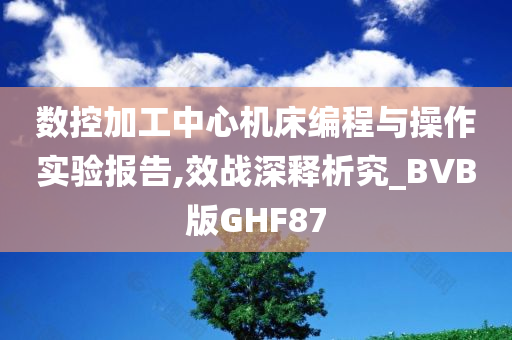 数控加工中心机床编程与操作实验报告,效战深释析究_BVB版GHF87