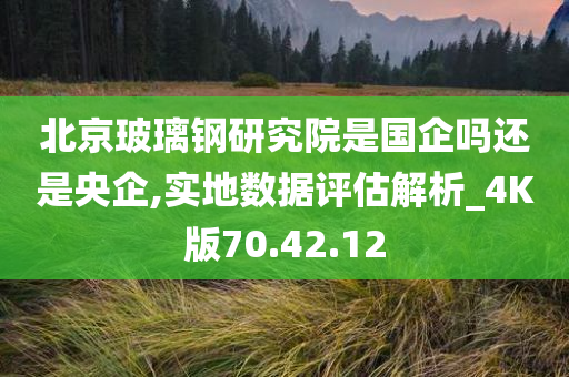 北京玻璃钢研究院是国企吗还是央企,实地数据评估解析_4K版70.42.12