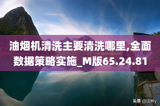 油烟机清洗主要清洗哪里,全面数据策略实施_M版65.24.81