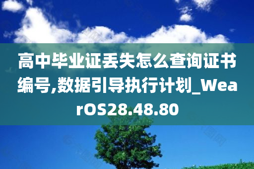 高中毕业证丢失怎么查询证书编号,数据引导执行计划_WearOS28.48.80