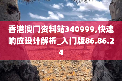 香港澳门资料站340999,快速响应设计解析_入门版86.86.24