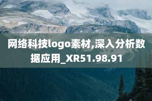 网络科技logo素材,深入分析数据应用_XR51.98.91