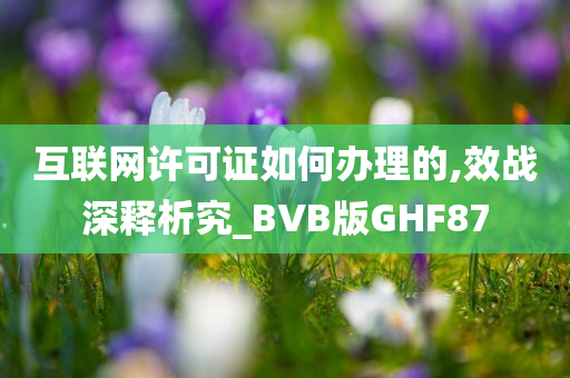 互联网许可证如何办理的,效战深释析究_BVB版GHF87