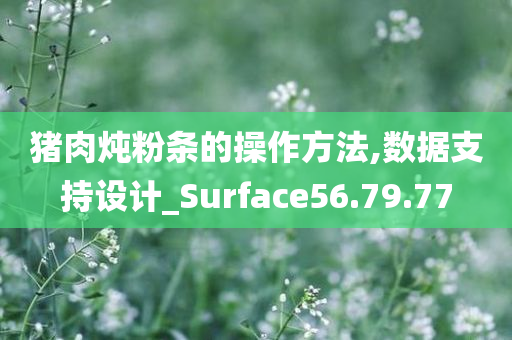 猪肉炖粉条的操作方法,数据支持设计_Surface56.79.77