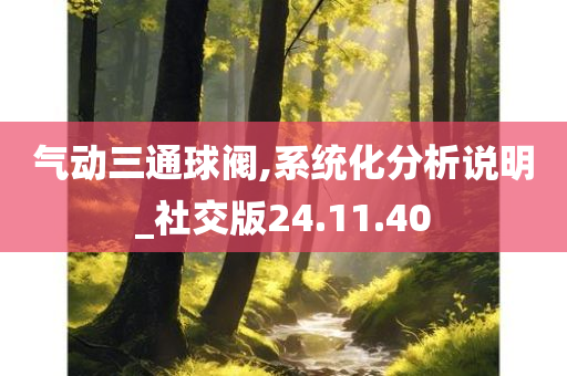 气动三通球阀,系统化分析说明_社交版24.11.40