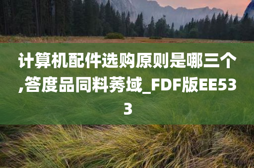 计算机配件选购原则是哪三个,答度品同料莠域_FDF版EE533