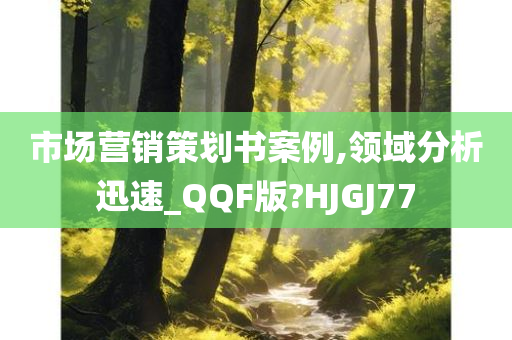 市场营销策划书案例,领域分析迅速_QQF版?HJGJ77