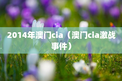 2014年澳门cia（澳门cia激战事件）