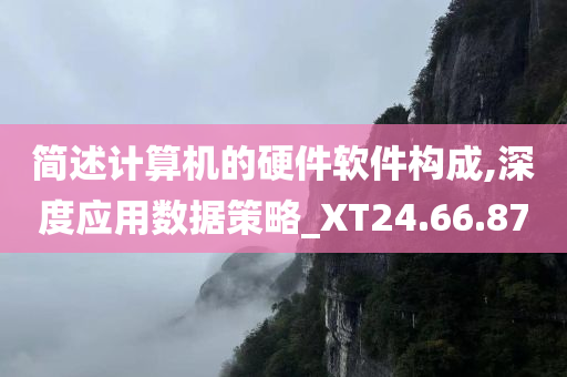 简述计算机的硬件软件构成,深度应用数据策略_XT24.66.87