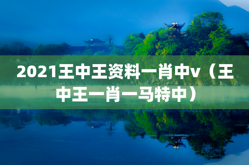 2021王中王资料一肖中v（王中王一肖一马特中）