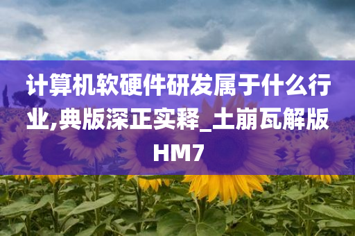 计算机软硬件研发属于什么行业,典版深正实释_土崩瓦解版HM7