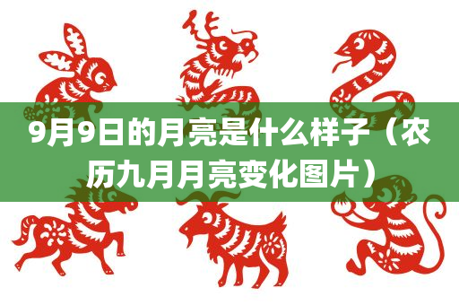 9月9日的月亮是什么样子（农历九月月亮变化图片）