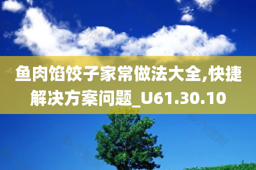 鱼肉馅饺子家常做法大全,快捷解决方案问题_U61.30.10