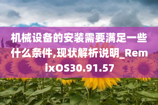 机械设备的安装需要满足一些什么条件,现状解析说明_RemixOS30.91.57