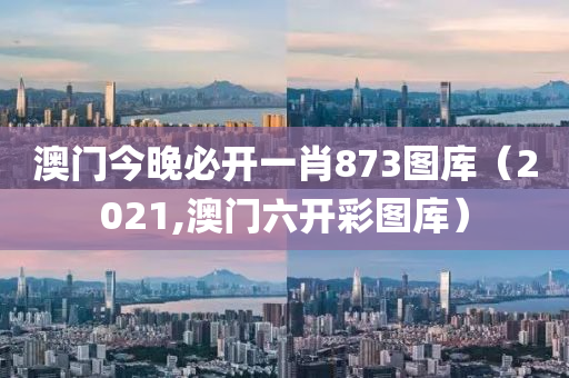 澳门今晚必开一肖873图库（2021,澳门六开彩图库）